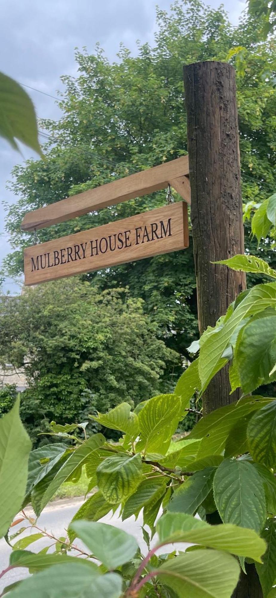 Mulberry House Farm The Garden Room Chippenham  Kültér fotó